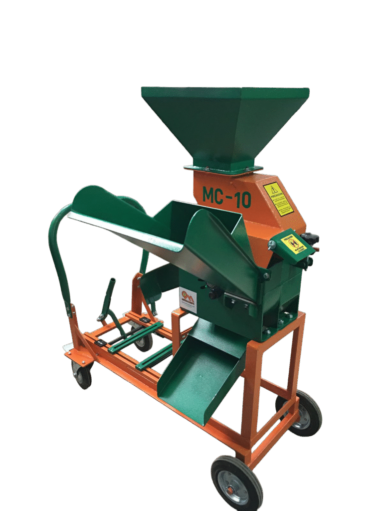 MC 10 2025 F1