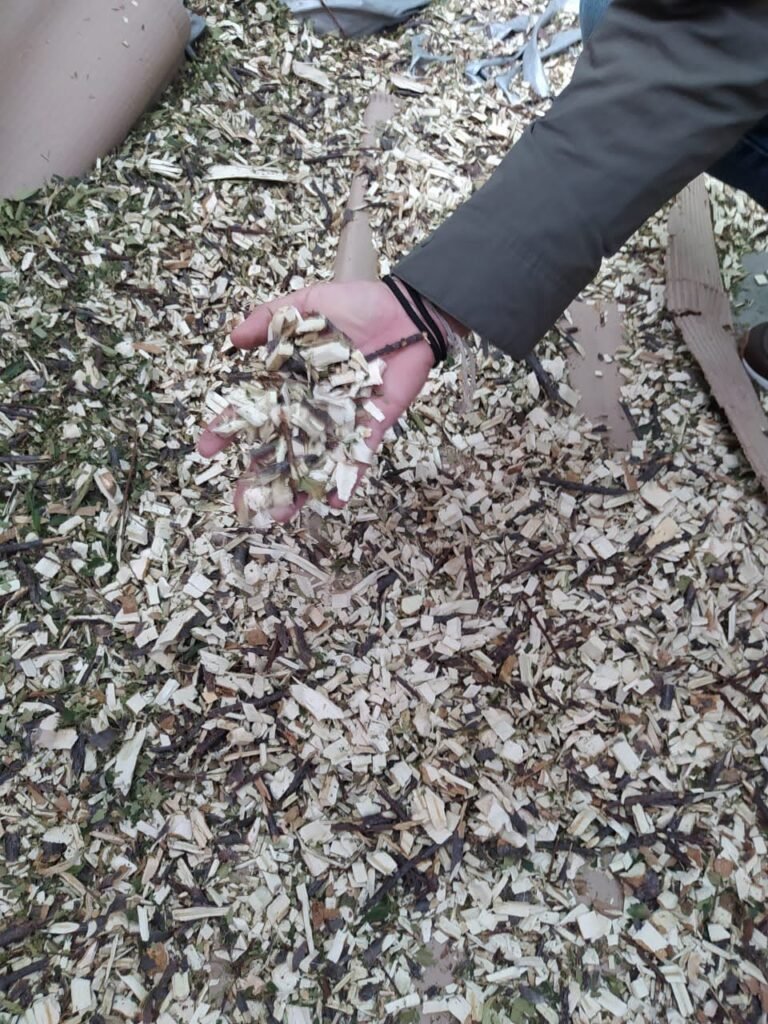 *PODA CHIPEADORA